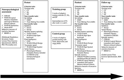 Limited Effects of Set Shifting Training in Healthy Older Adults